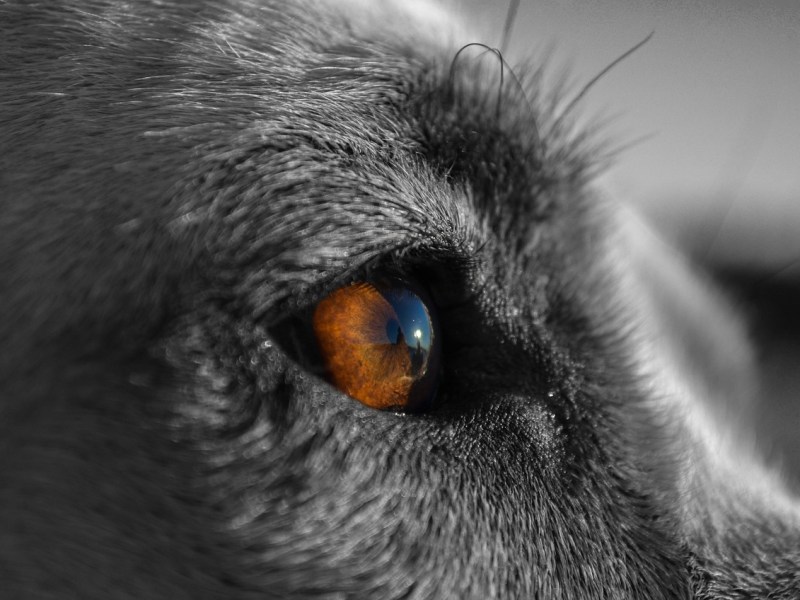 Faites confiance à votre instinct en&nbsp;vacances